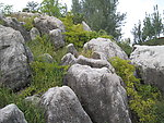 石头景观