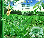 茶山茶叶采茶女茶文化