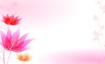 唯美 温馨 粉色 花 （合层）