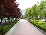 自然风景