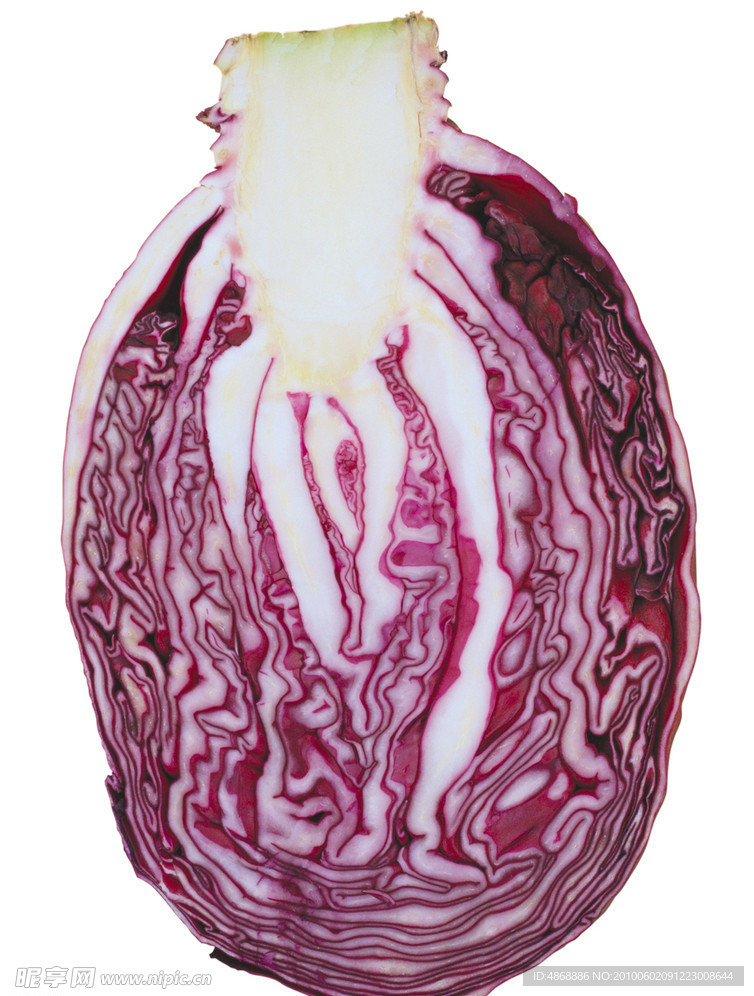 蔬菜