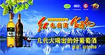 金通化 店招