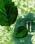 绿叶涂料字母