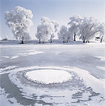 冰天雪地