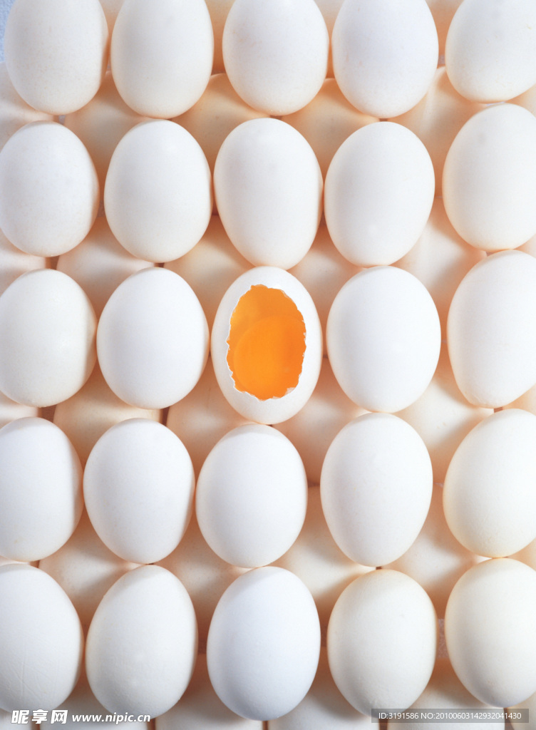 蛋 蛋壳 鸭蛋 蛋黄 模型 图片照片 素材 图库