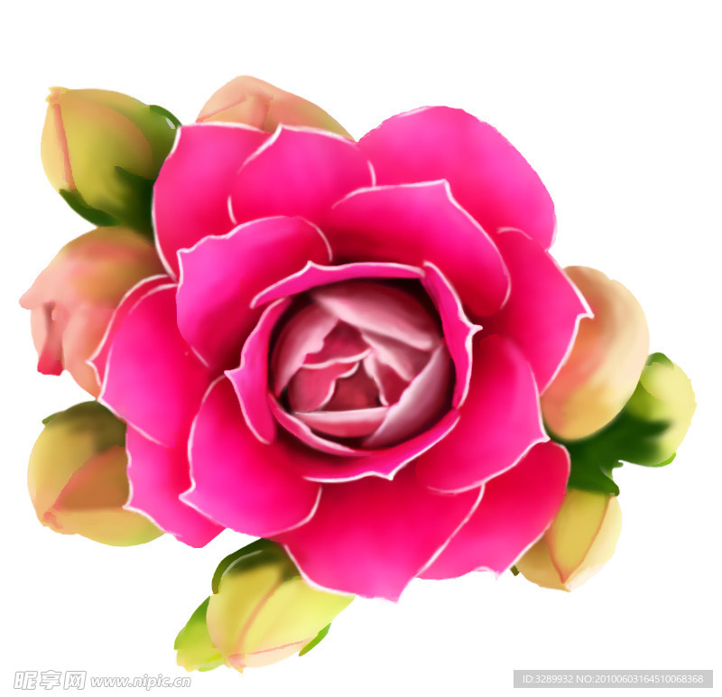 手绘花