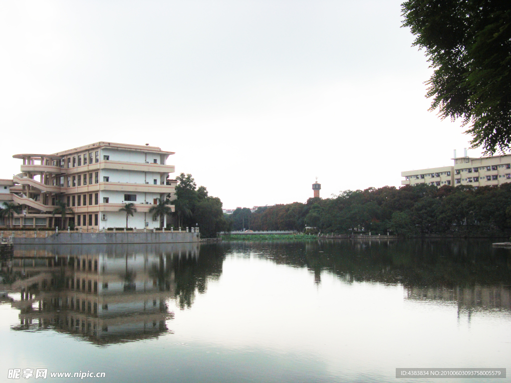 广西大学碧云湖景