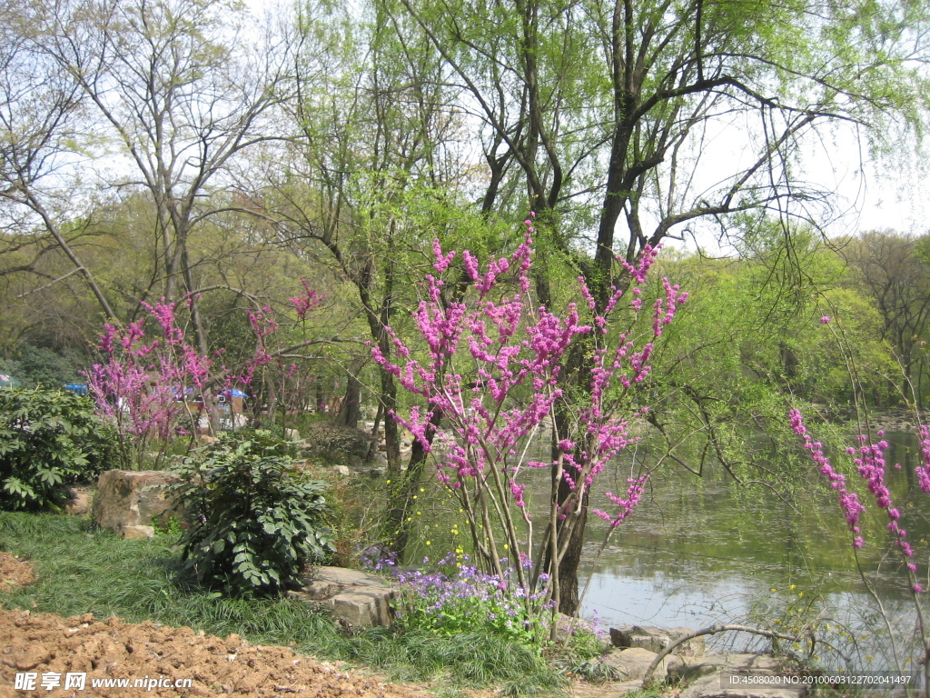 南京游风景