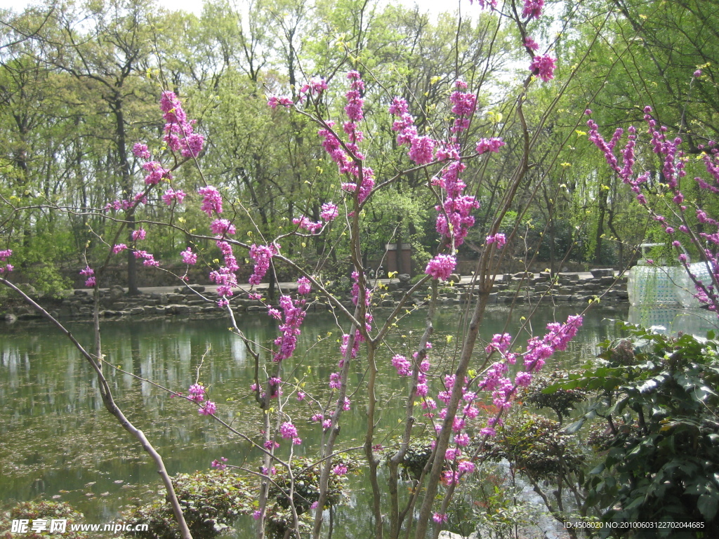 南京游风景