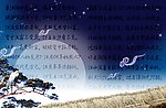 夜晚 白鹭 树
