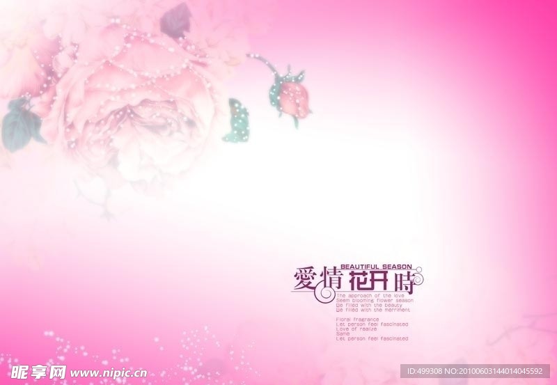 爱情花开时