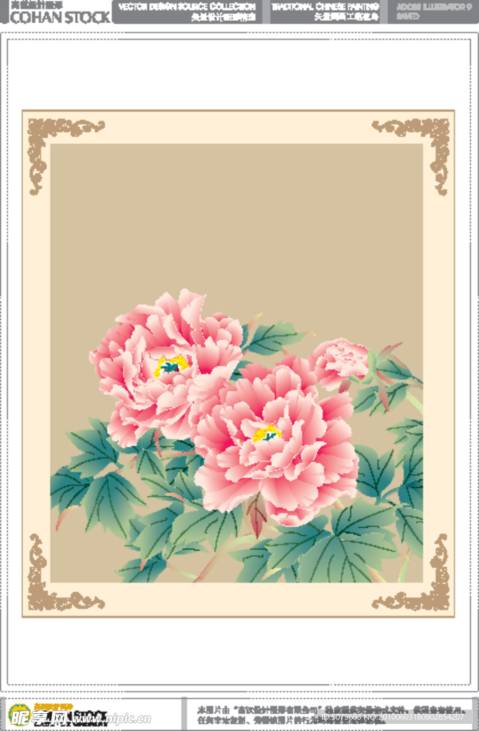 牡丹花开