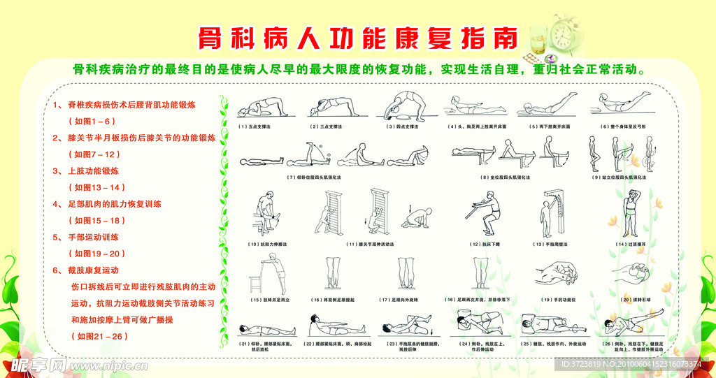 骨科病人功能康复指南