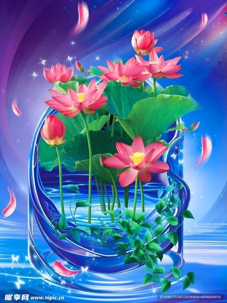 荷花