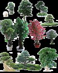 植物素材