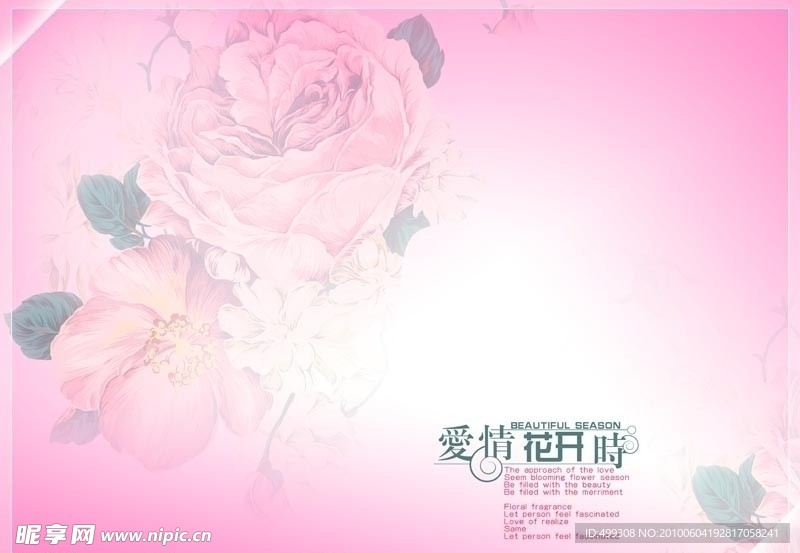 爱情花开时