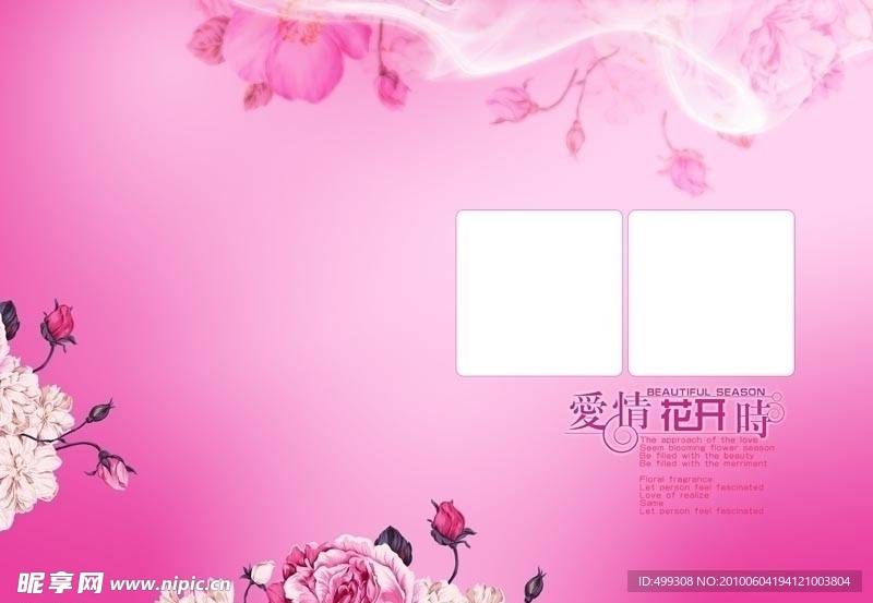 爱情花开时