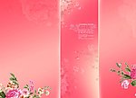 爱情花开时
