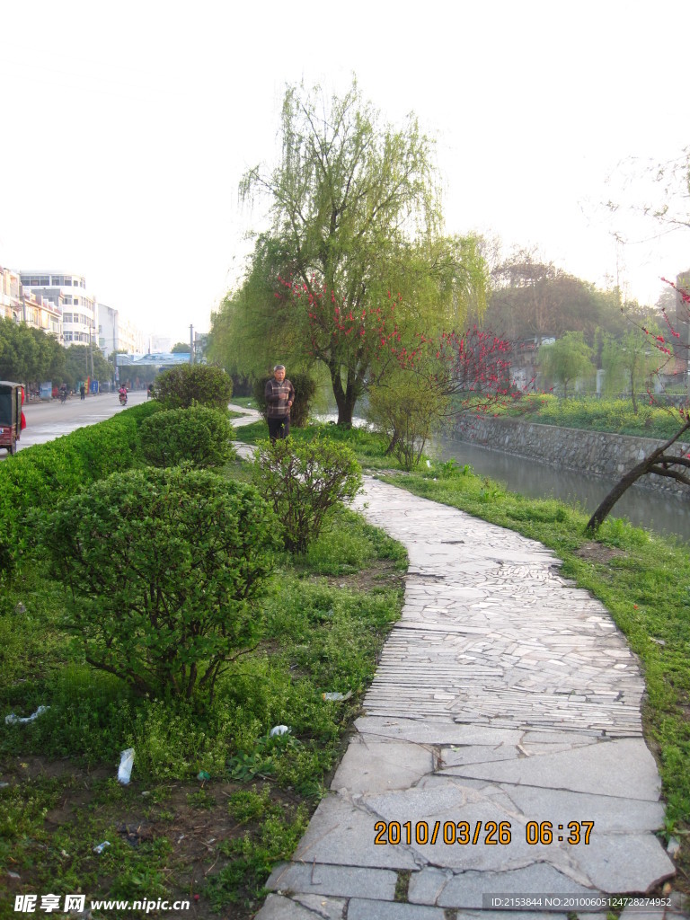 林荫小道