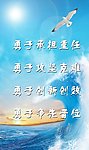 海上飞鸟