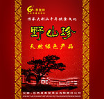 野山珍