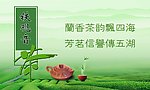 铁观音