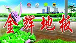 地板