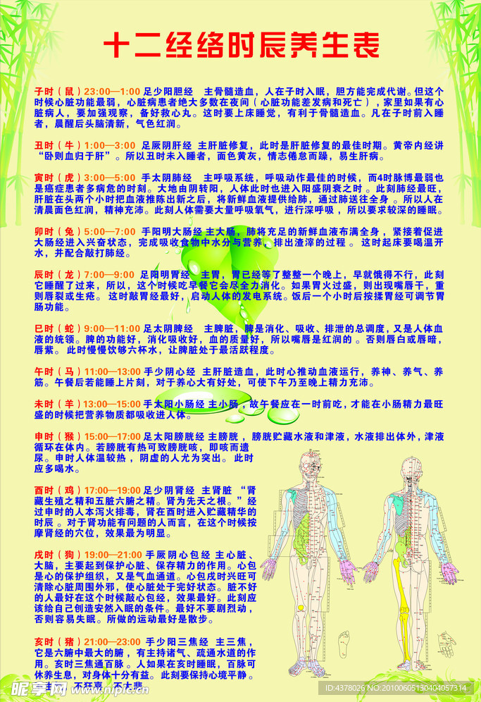 养生表