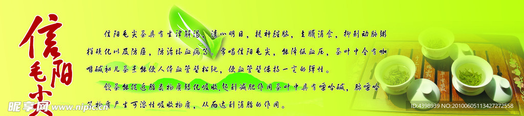 信阳毛尖灯片