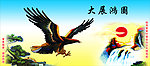 大展鸿图