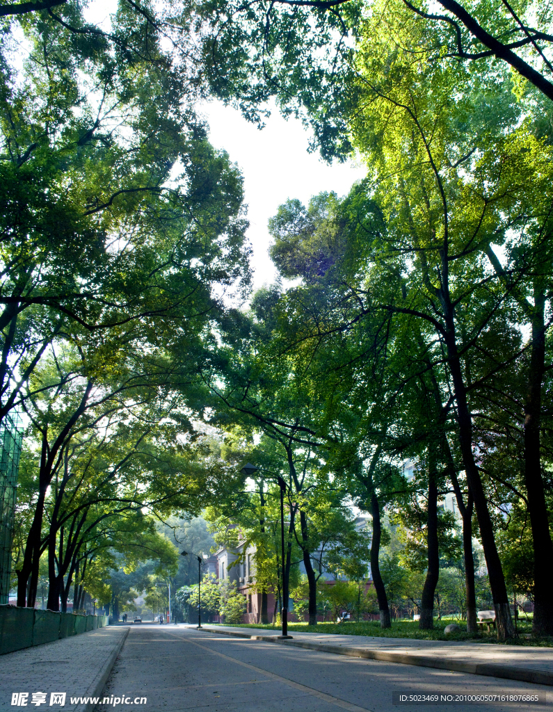 自然风景