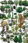 植物素材