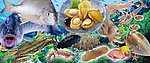 海鲜世界