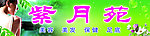 美容美发保健