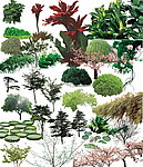 植物素材
