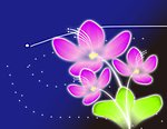 夜光下的花