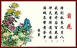 菊花