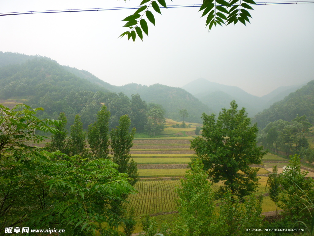 田野风景