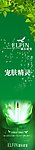 恩尔蕾斐