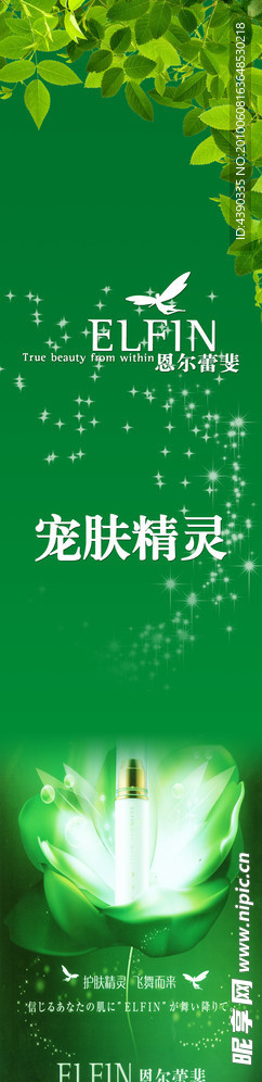 恩尔蕾斐