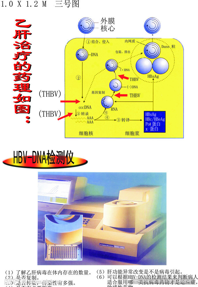 药理示意图