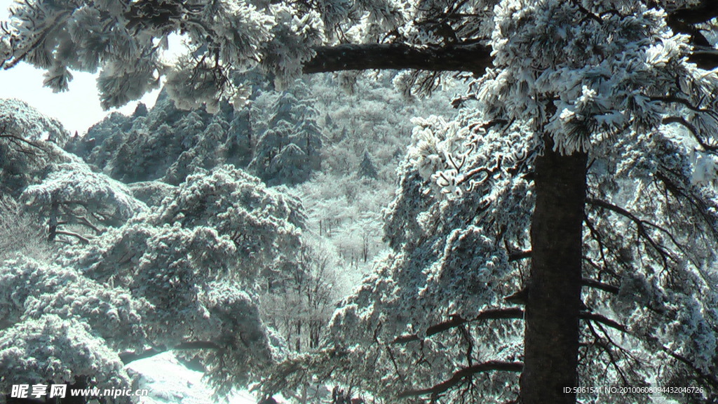 雪景黄山