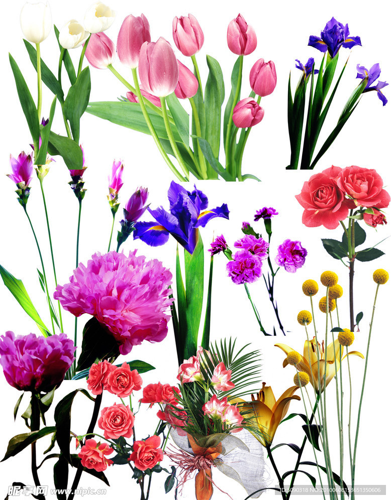 鲜花