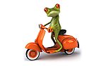 骑车树蛙