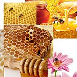 蜂蜜 素材整理