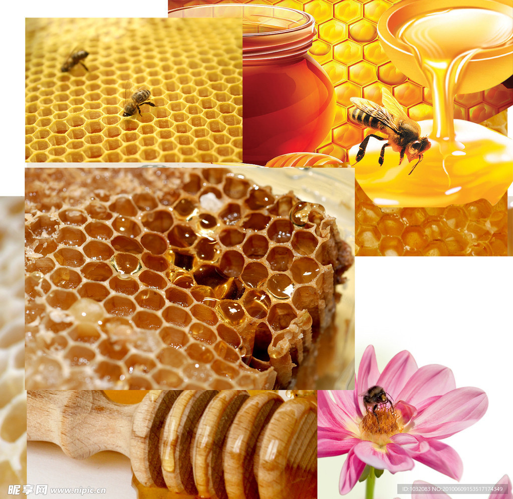 蜂蜜 素材整理