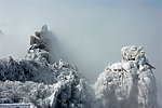 雪雾中的九华山