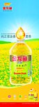 金龙鱼菜籽油