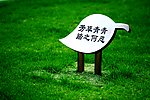 禁止踩踏高清图片