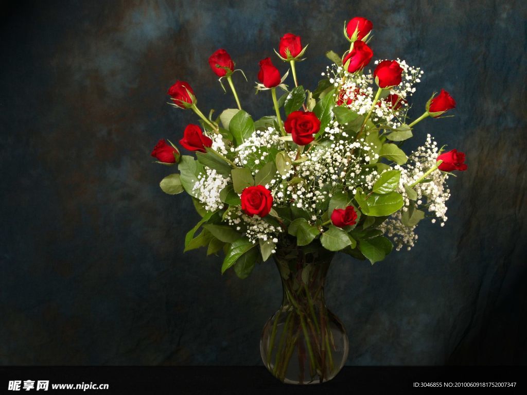 一束漂亮的红玫瑰 玫瑰花